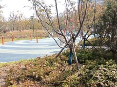 -美兰湖景区