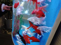 -海逸餐厅·象山海鲜