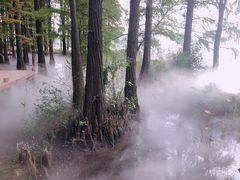 -东湖落雁景区