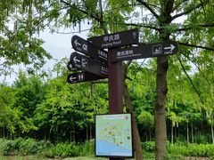 -合肥滨湖国家森林公园