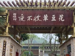 门面-夜不收荤豆花(大邑总店)