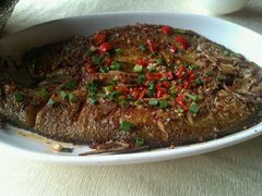 洞庭野生翘嘴鱼-毛家湾公馆(东圃店)