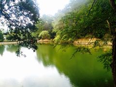 -韶山毛泽东同志故居