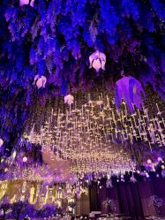 -花嫁丽舍婚礼殿堂(世博江景店)