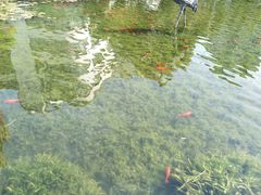 -苏州河梦清园环保主题公园