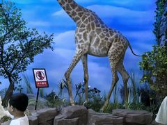 -西霞口神雕山野生动物世界