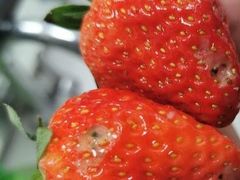 -百果园(领馆国际城店)