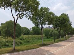 -汉江湾体育公园