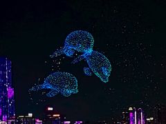 -武昌江滩
