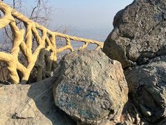 -北京西山国家森林公园