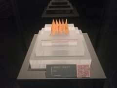 -温州博物馆