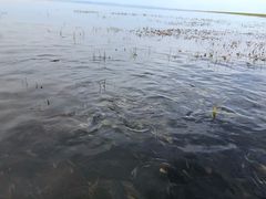 -青海湖仙女湾景区