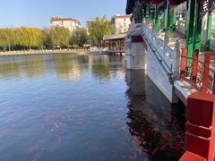 -西海子公园