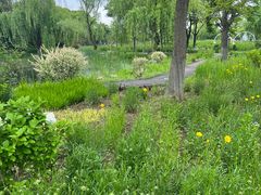 -梁鸿国家湿地公园