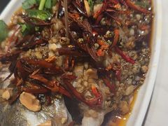 -杨氏青龙虾·羊蝎子(金盛路总店)