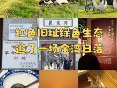 -洪湖湿地生态园