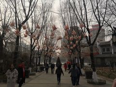 -文瀛公园