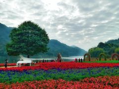 -广州市石门国家森林公园