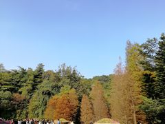 -云溪植物园