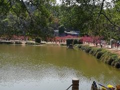 -南国桃园旅游度假区