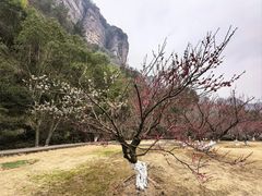 -十九峰景区