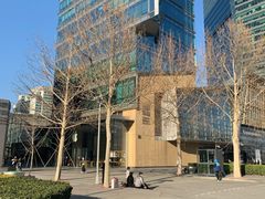 -Apple零售店(华贸购物中心店)