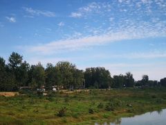 -五里湖湿地公园