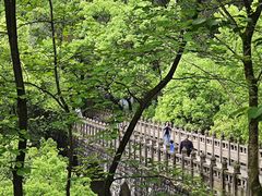 -南山植物园