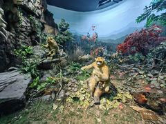 -陕西自然博物馆