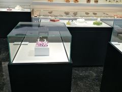 -BLACKSWAN黑天鹅(环球店)
