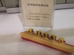 -青岛市口腔医院(总院)