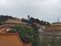 -深圳仙湖植物园
