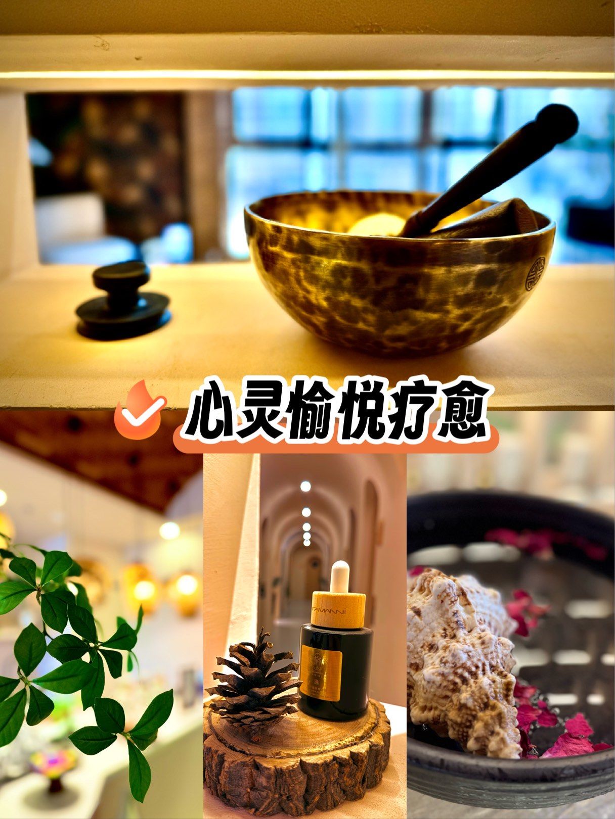 今日份的身心灵疗愈