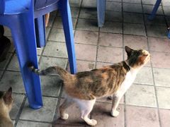 -揭阳钟记小食(福田新村店)