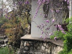 -郑和公园