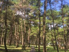 -Club Med地中海俱乐部·桂林度假村