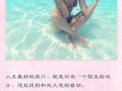 -印象·浅水湾(百乐门大厦店)