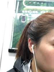 -藤野造型