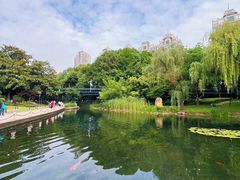 -徐家汇公园
