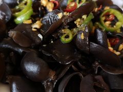 -百利鸽王(紫薇路店)