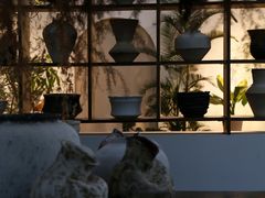 -自由生长植物工作室(深港花卉中心店)