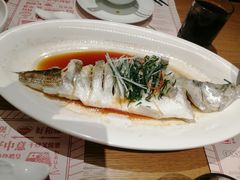 -顺风汤馆·广府粤菜(江宸天街店)