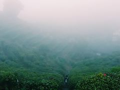 -东部华侨城