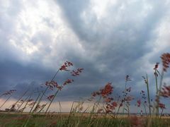 -白沙门生态公园