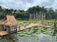 -中国科学院西双版纳热带植物园