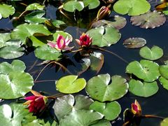 -国家植物园南园