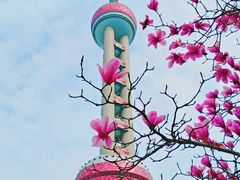 -陆家嘴中心绿地