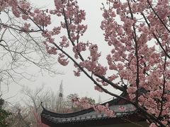 -堤角公园