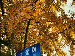 -农家铁锅炖(太阳沟店)