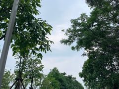 -飞凤山奥体公园